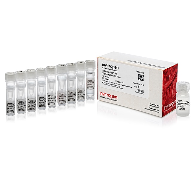 1000RXN MEGASCRIPT T7 IVT KIT .
